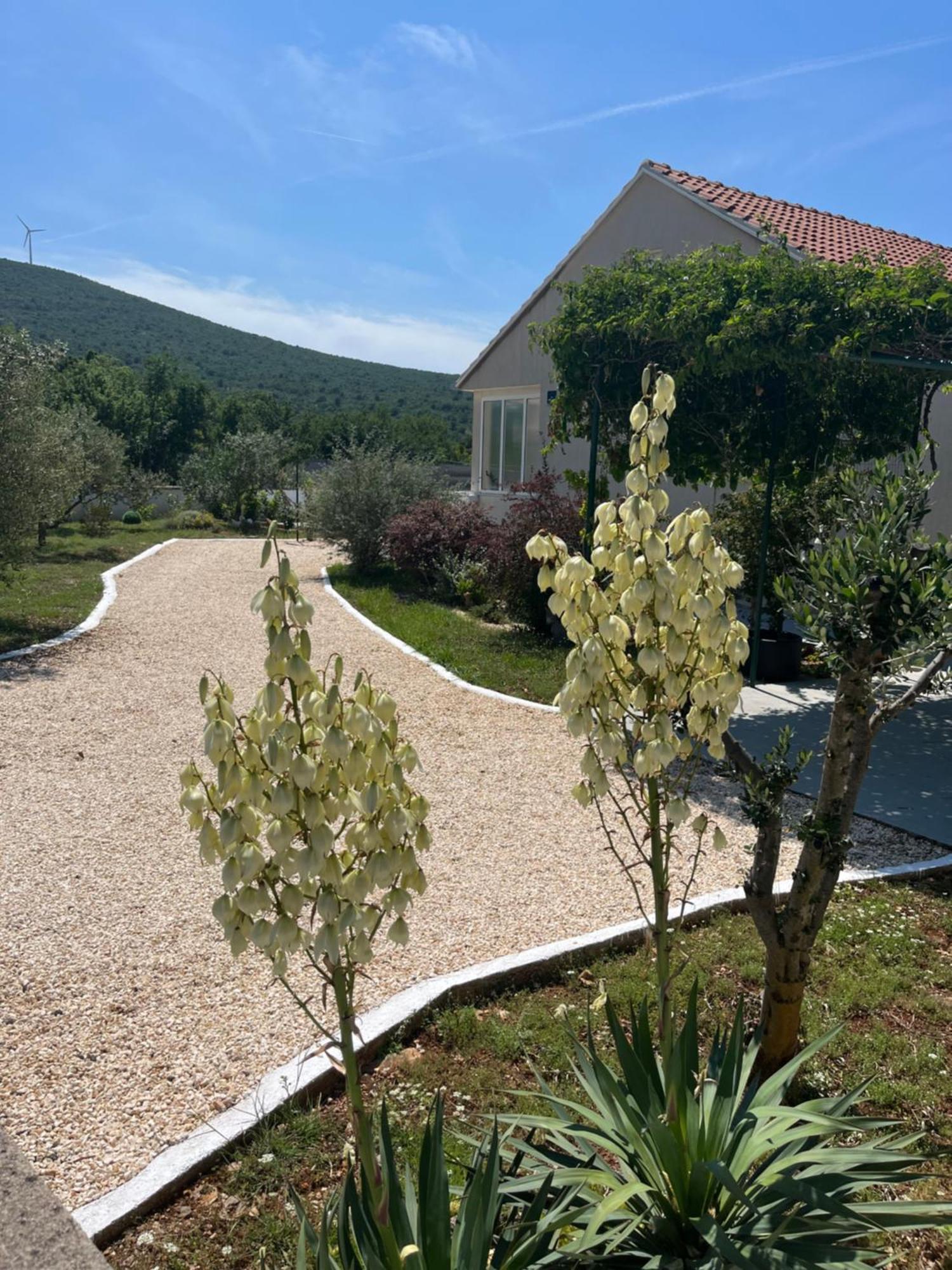 Mediterranean Olive Waterfallskrka-Croatia Villa Gulin Exterior photo